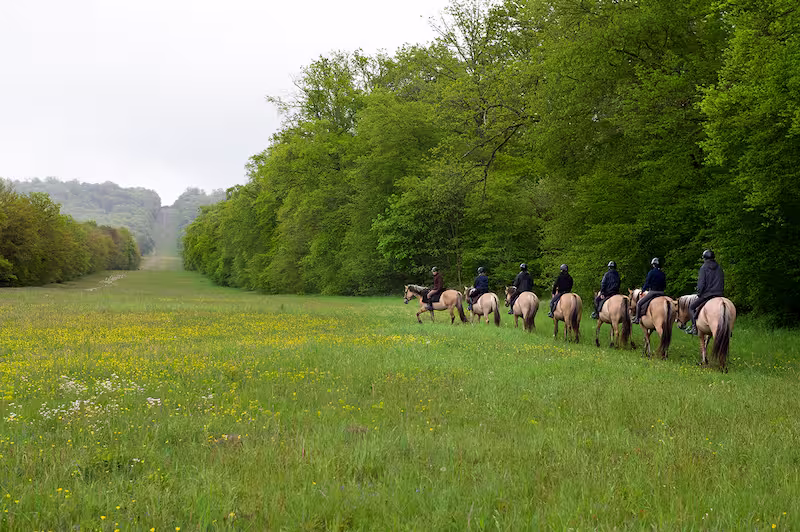 Votre Week-end en amoureux à Compiègne : Une Escapade Hors du Temps
